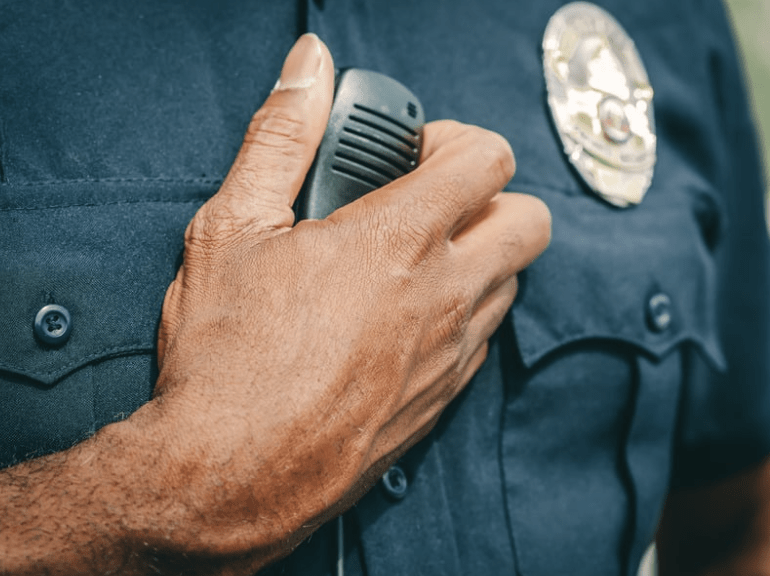 one-third of Americans killed by strangers are killed by police.